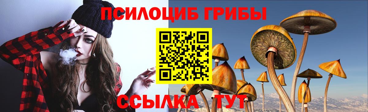 Псилоцибиновые грибы мицелий  Вход с VPN  Галлюциногенные грибы Psilocybe  Пушкино 