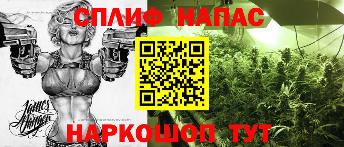 Каннабис план Пушкино